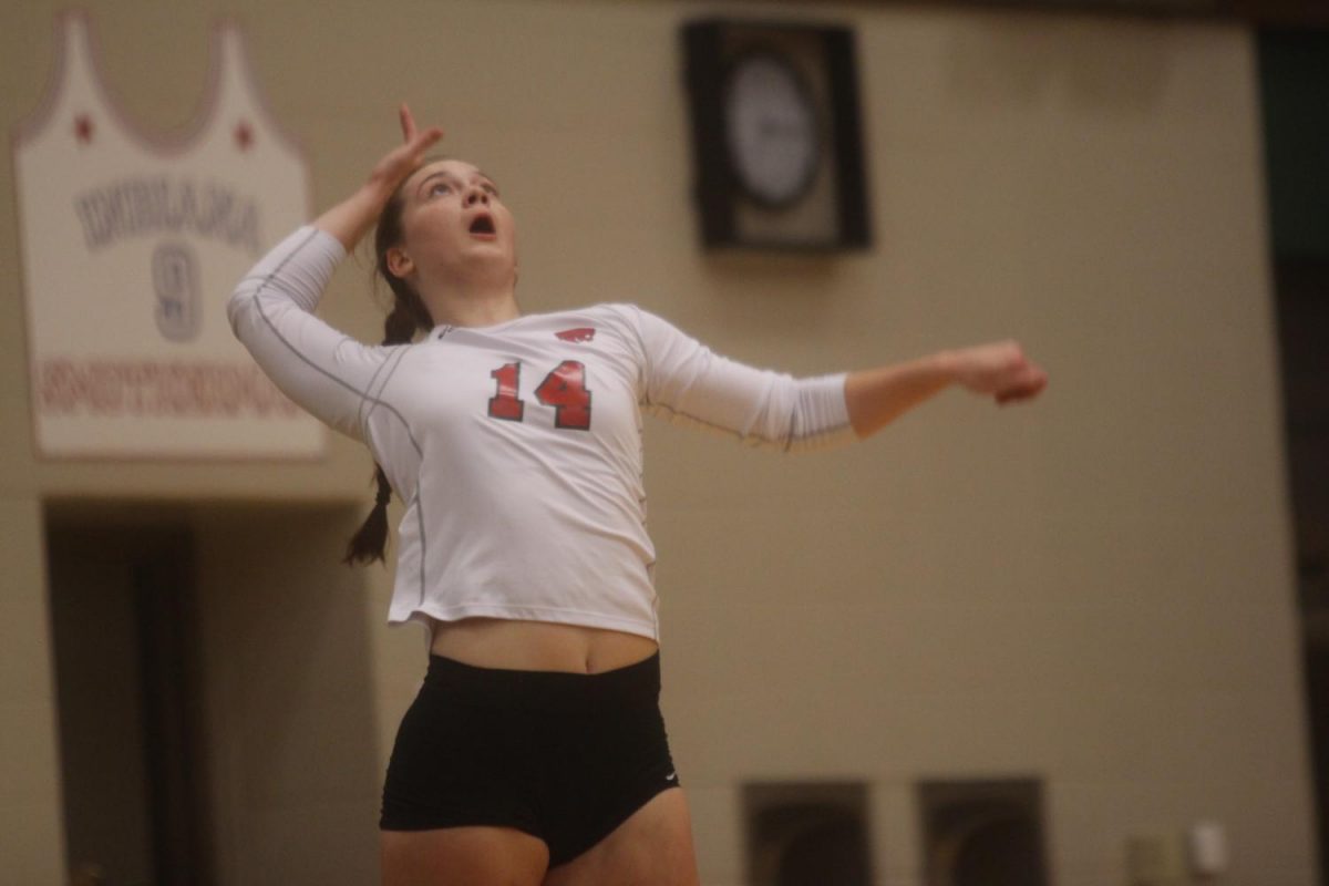 LN+takes+down+Mt.+Vernon+in+huge+five+set+thriller%3A+Photo+Gallery